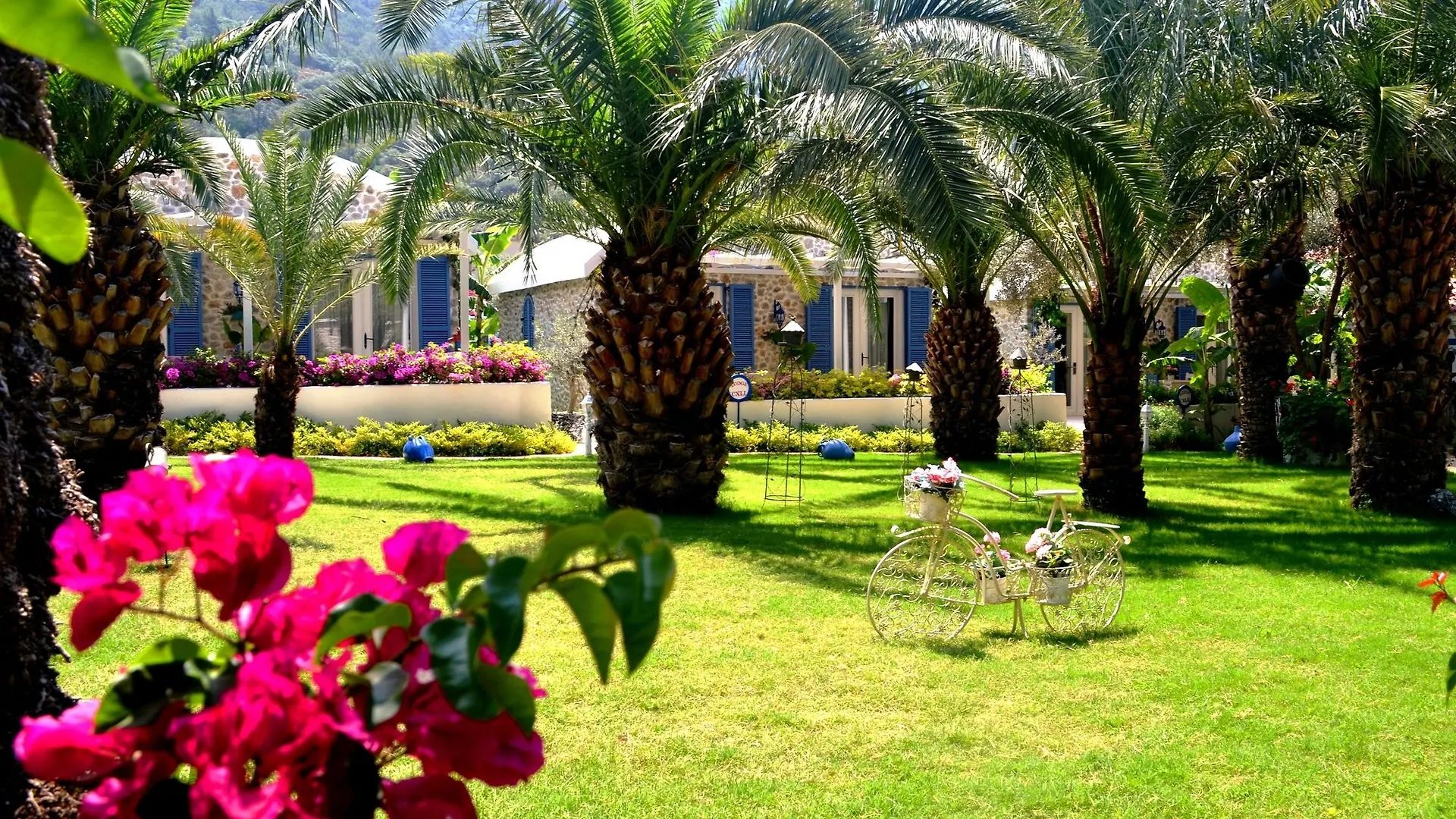 Flamingo Hotel & Spa - Pet Friendly Ölüdeniz