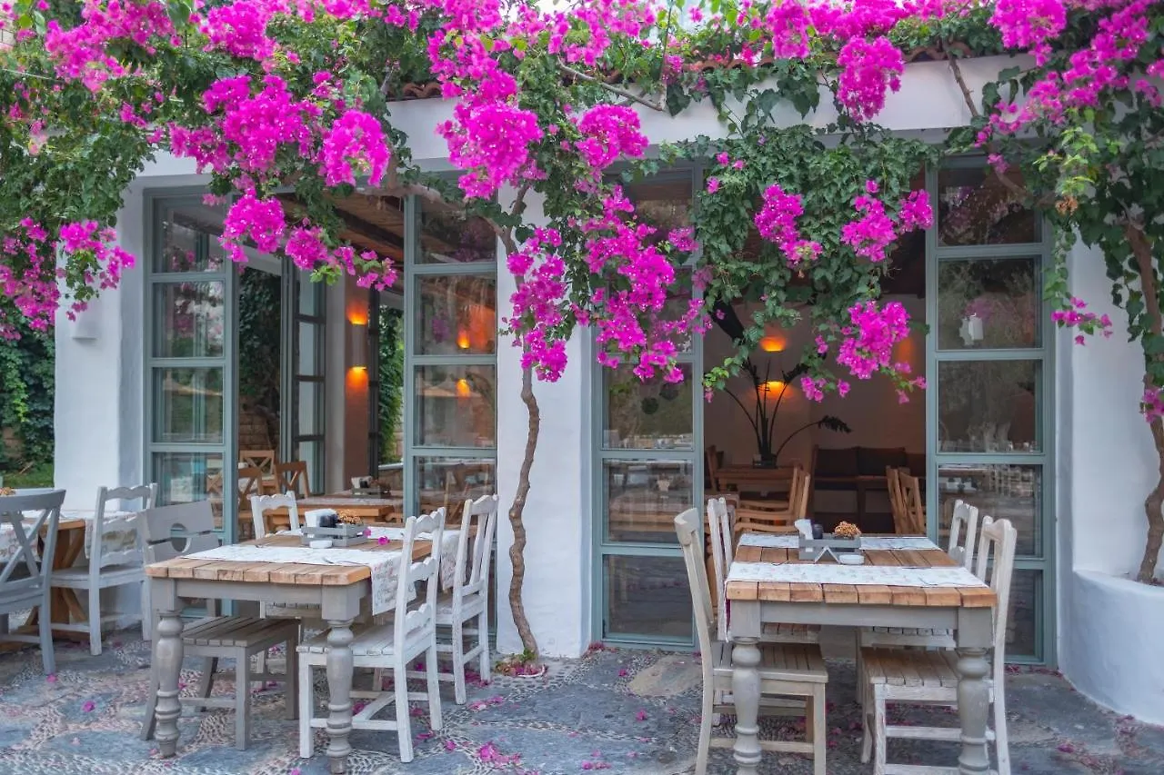 ***  Flamingo Hotel & Spa - Pet Friendly Oludeniz Törökország