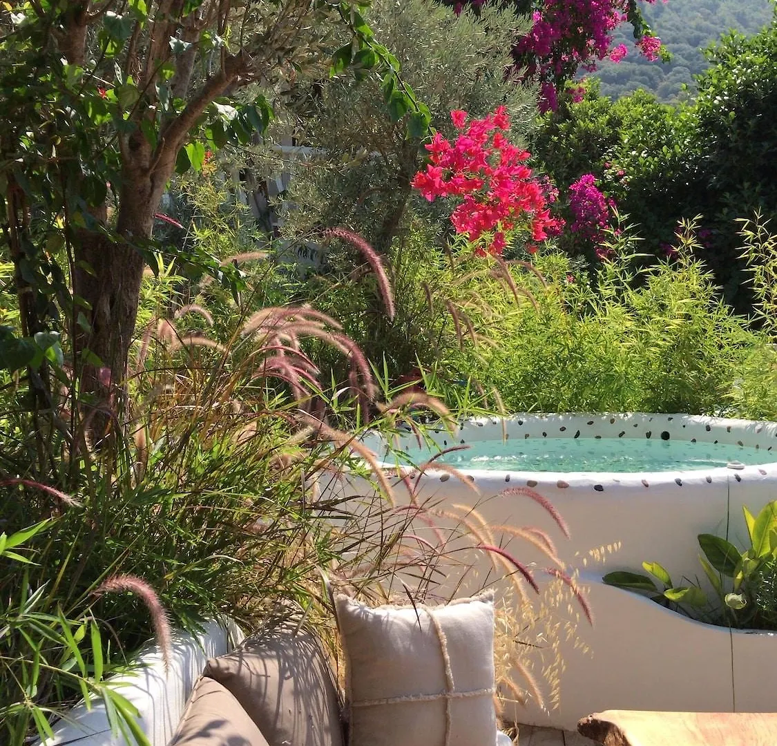 Flamingo Hotel & Spa - Pet Friendly Oludeniz