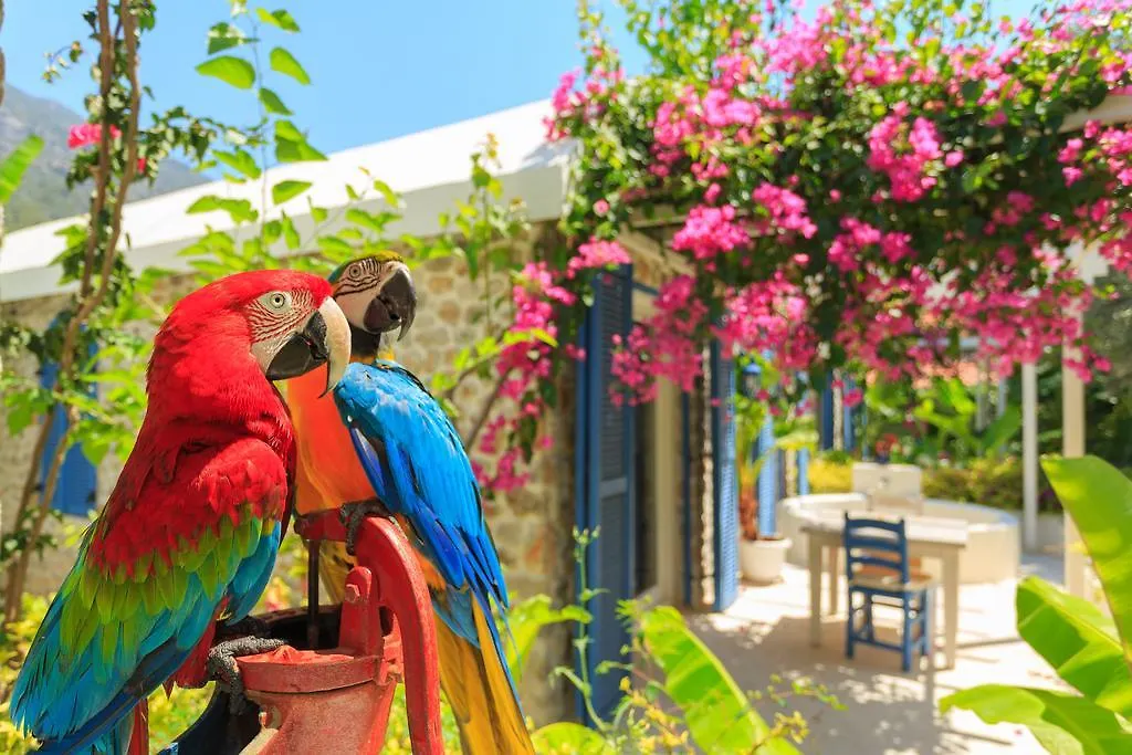 Flamingo Hotel & Spa - Pet Friendly Oludeniz 3*,  Törökország